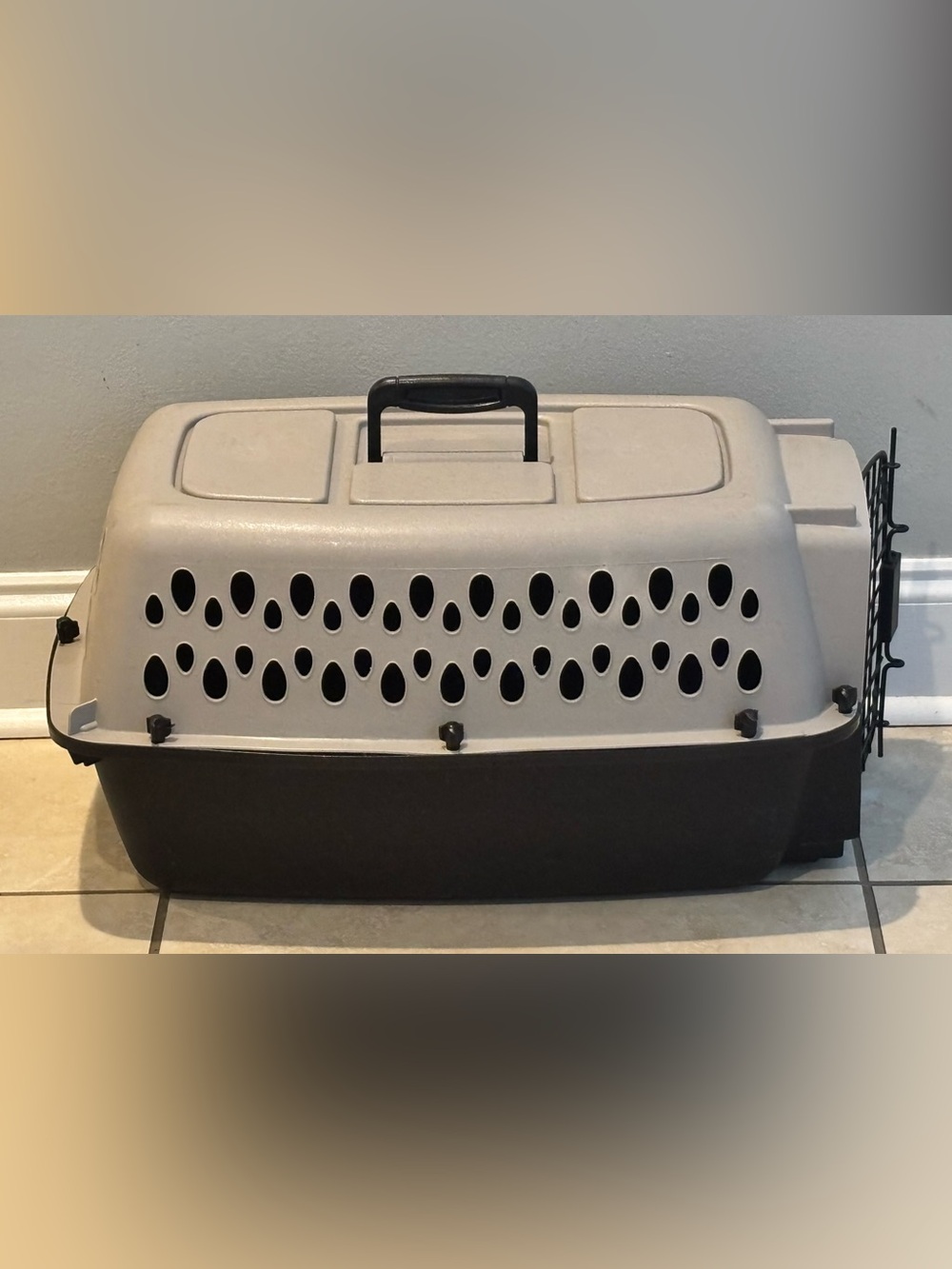 Large Hard-Sided Pet Carrier Dog Cat Travel Crate Kennel Gray Black 23” large